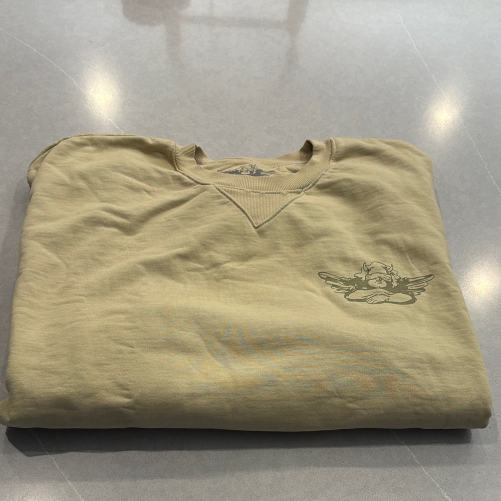 Boys Lie light Olive Graphic Sweatshirt it is one size fits all